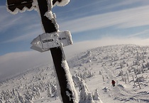 Zawody w rzeźbie ze śniegu na stoku Ski Arena Szrenica